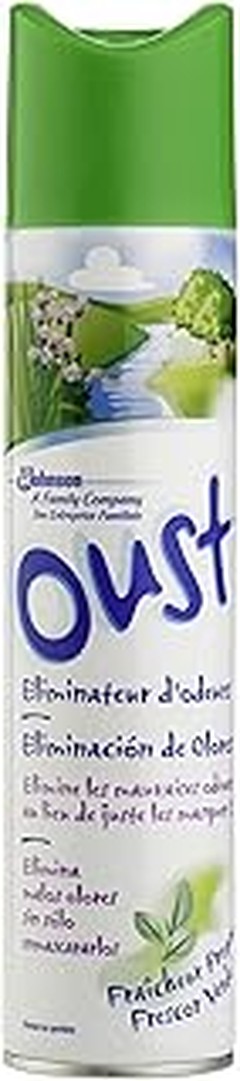 Tipos de Ambientadores y Eliminadores de Olores para el Hogar