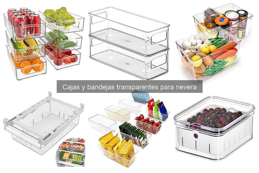 Opiniones sobre cajas y bandejas transparentes para nevera